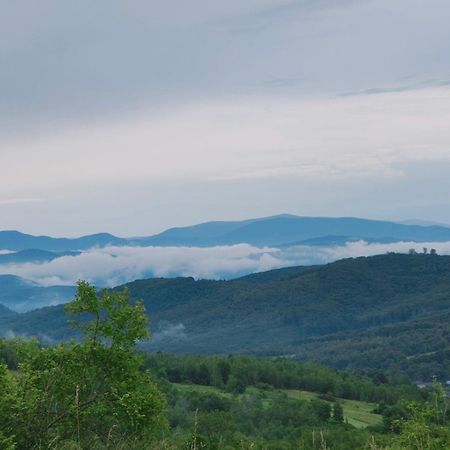 Соколів Камінь Novoselitsa  Esterno foto