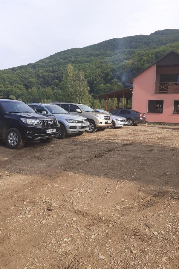 Соколів Камінь Novoselitsa  Esterno foto