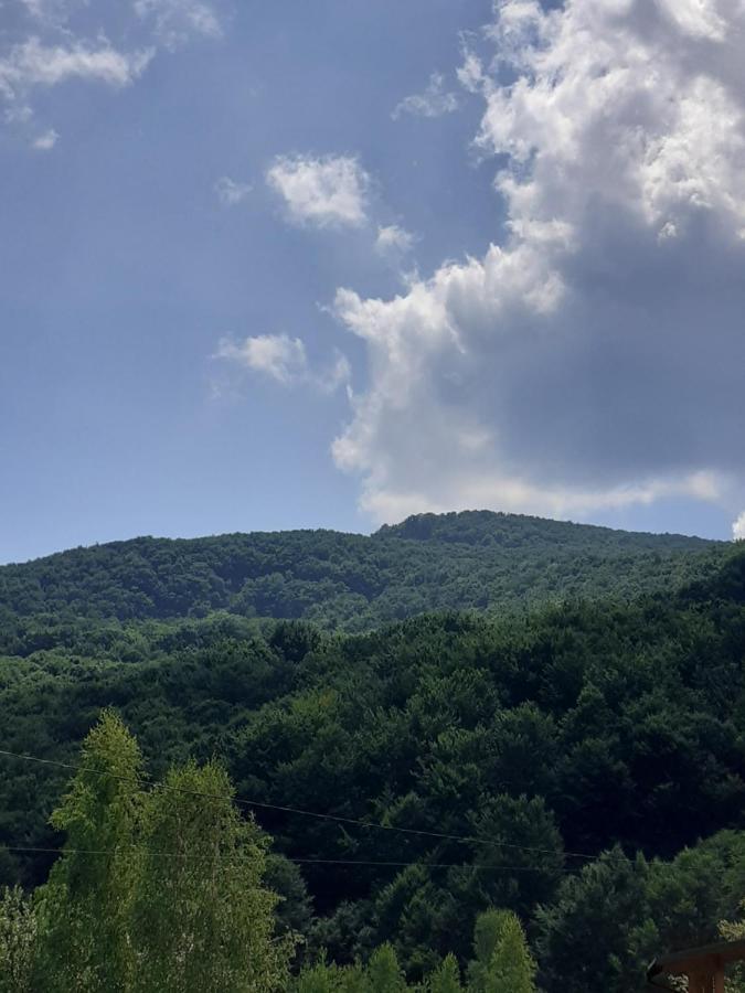 Соколів Камінь Novoselitsa  Esterno foto