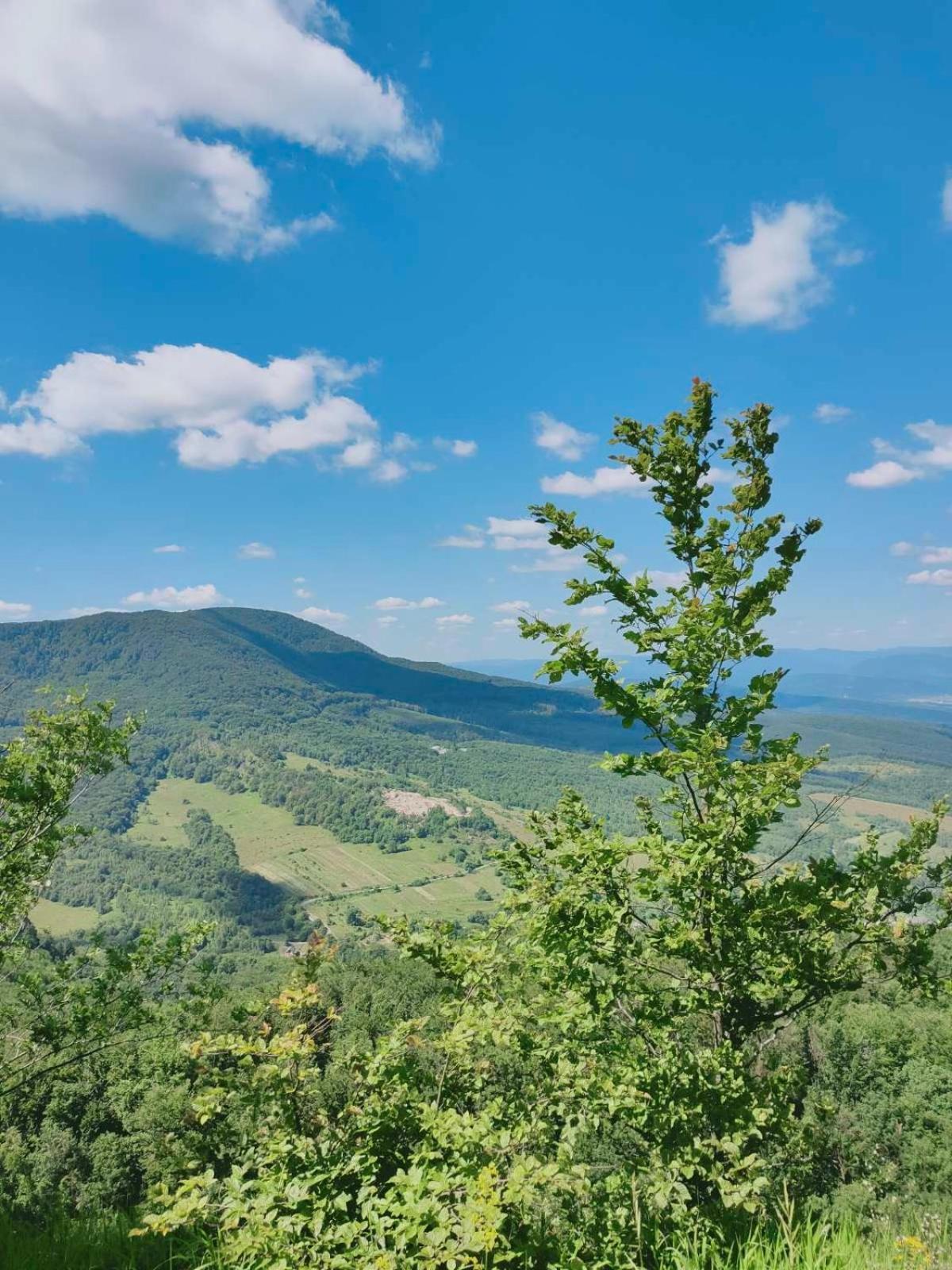 Соколів Камінь Novoselitsa  Esterno foto