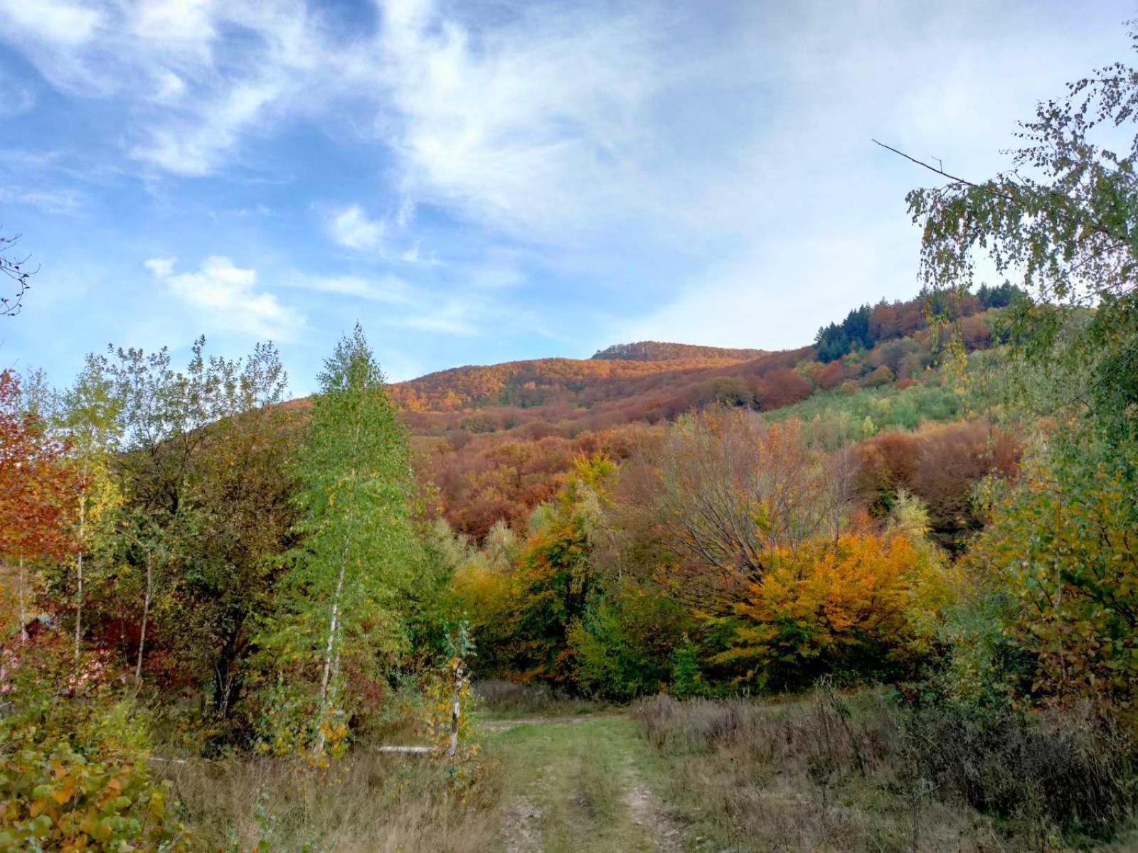 Соколів Камінь Novoselitsa  Esterno foto