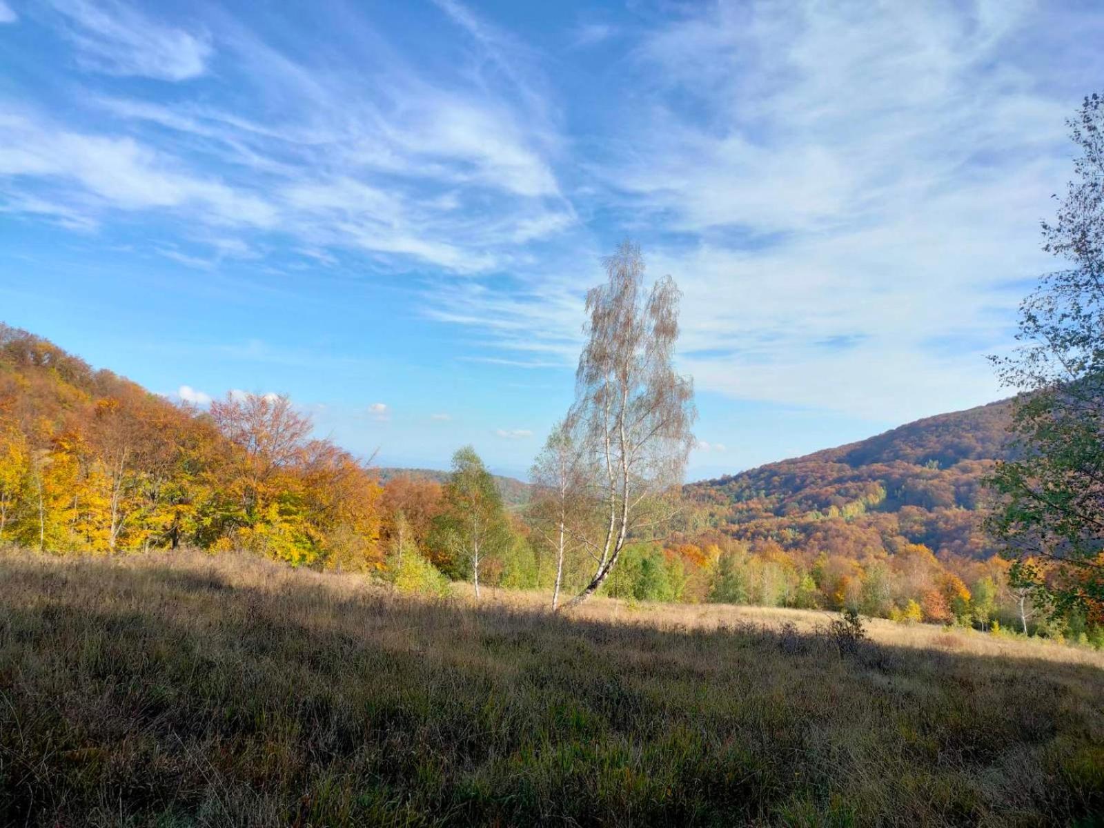 Соколів Камінь Novoselitsa  Esterno foto