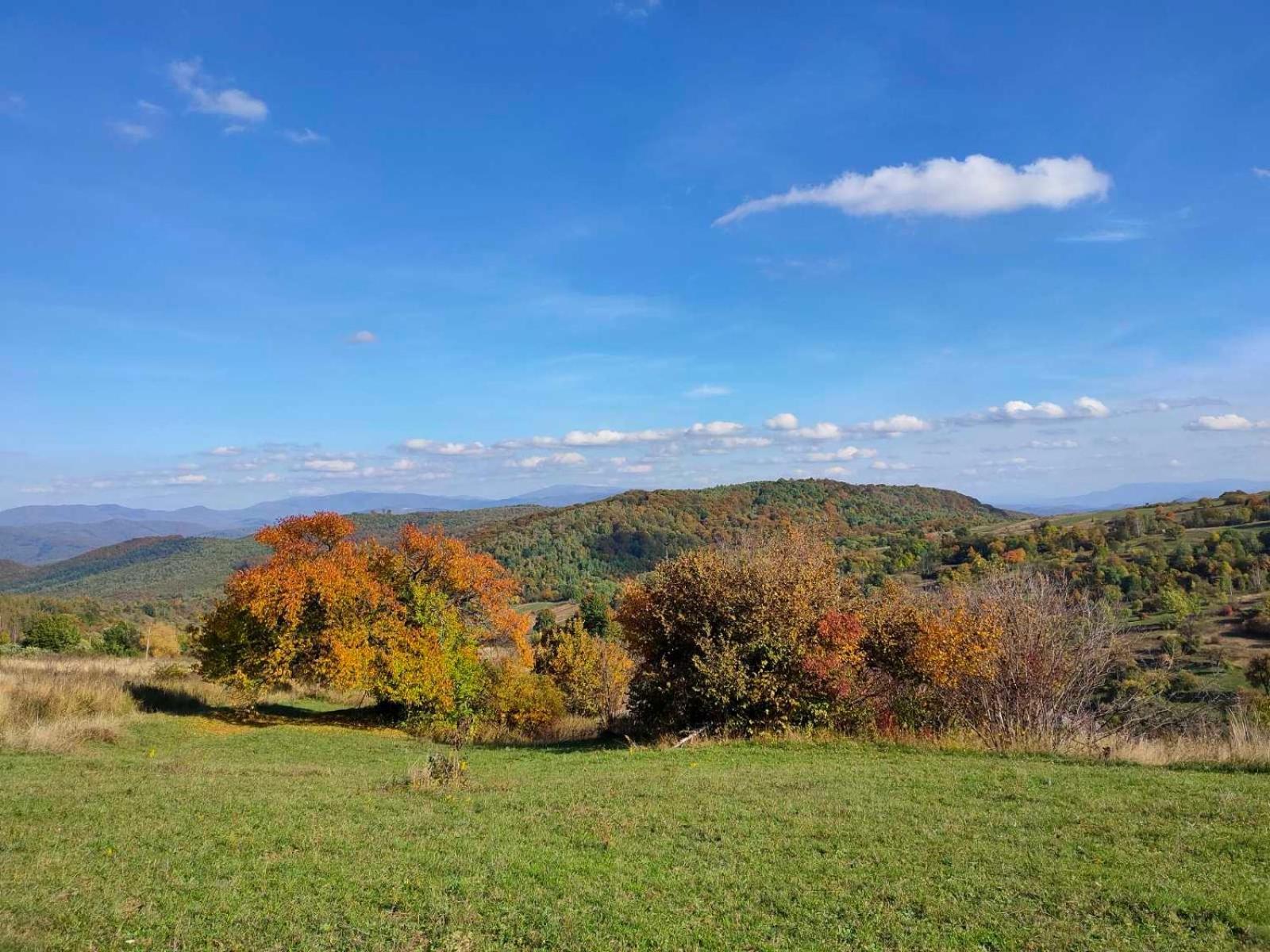 Соколів Камінь Novoselitsa  Esterno foto