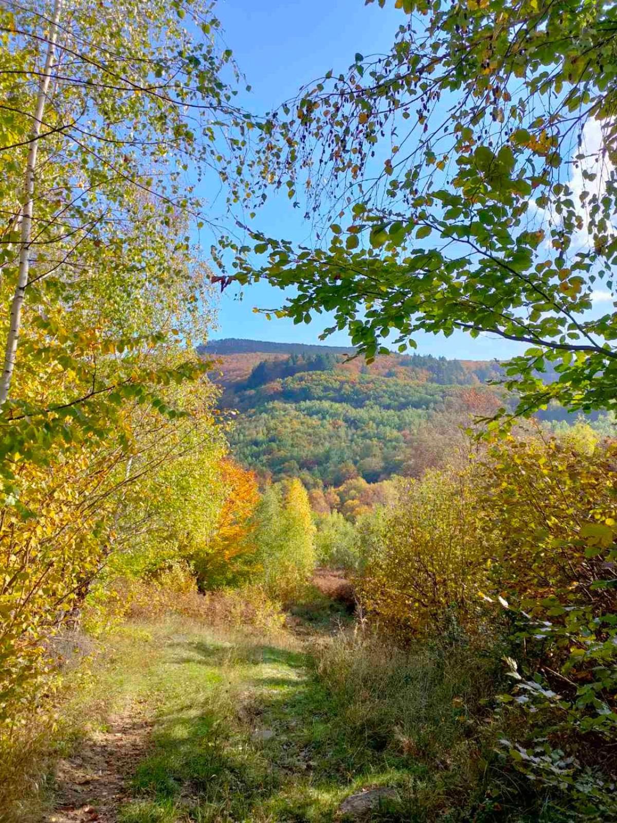 Соколів Камінь Novoselitsa  Esterno foto