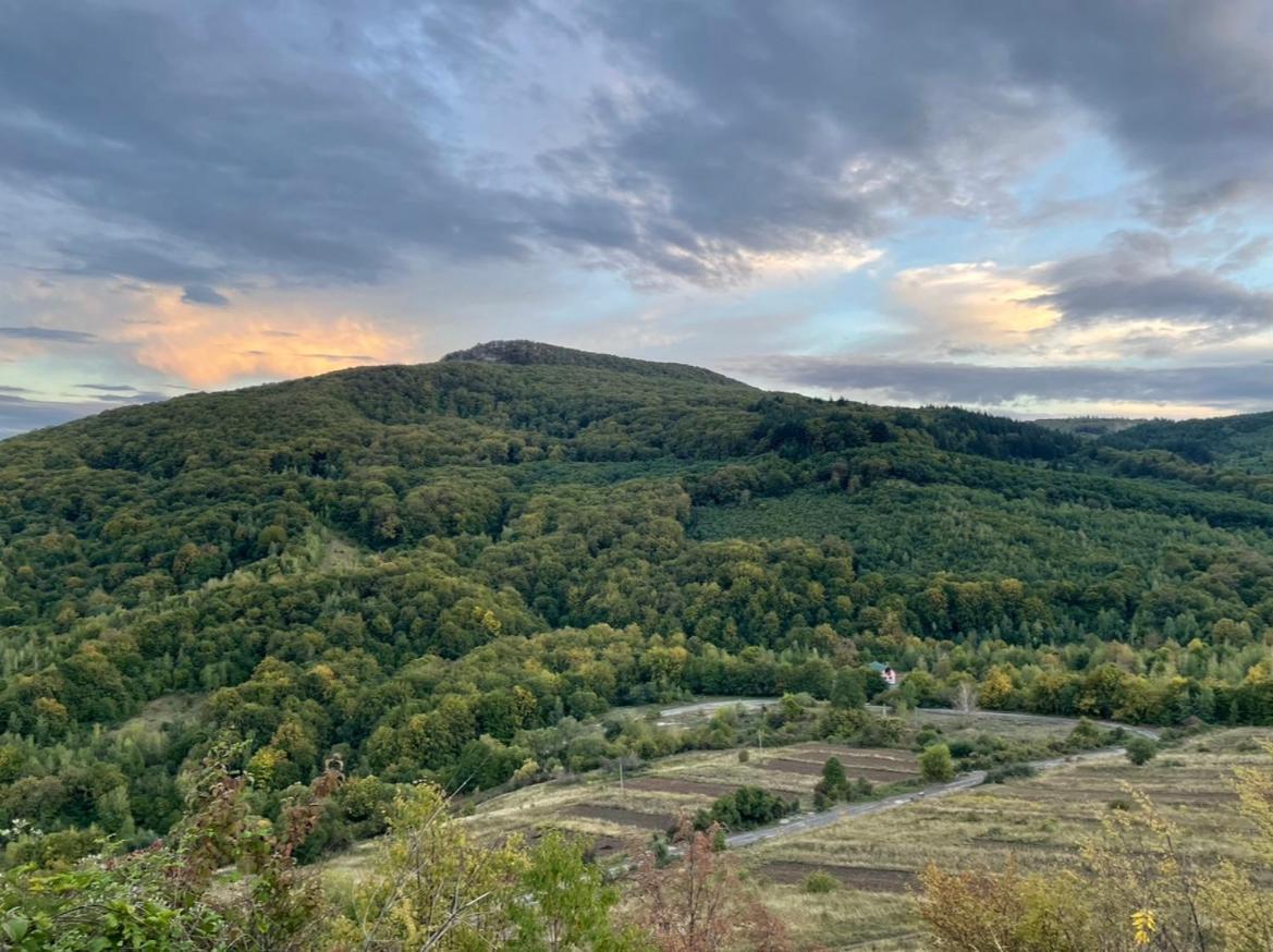 Соколів Камінь Novoselitsa  Esterno foto