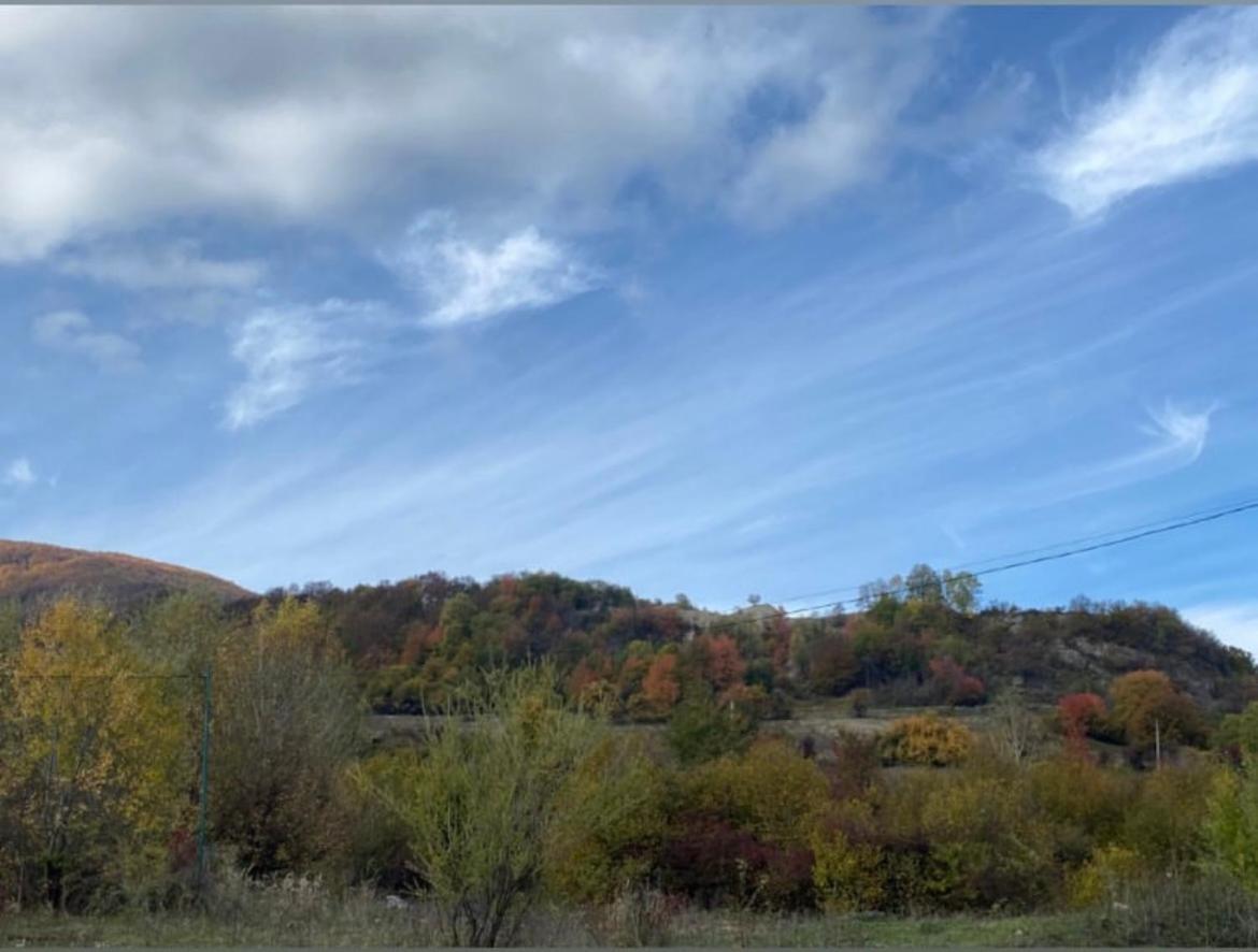 Соколів Камінь Novoselitsa  Esterno foto