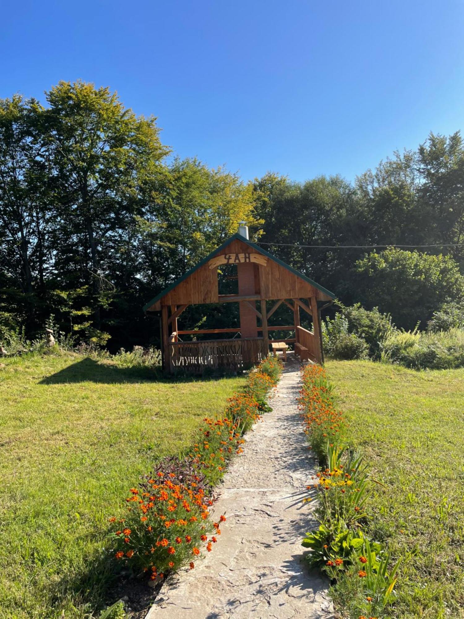 Соколів Камінь Novoselitsa  Esterno foto