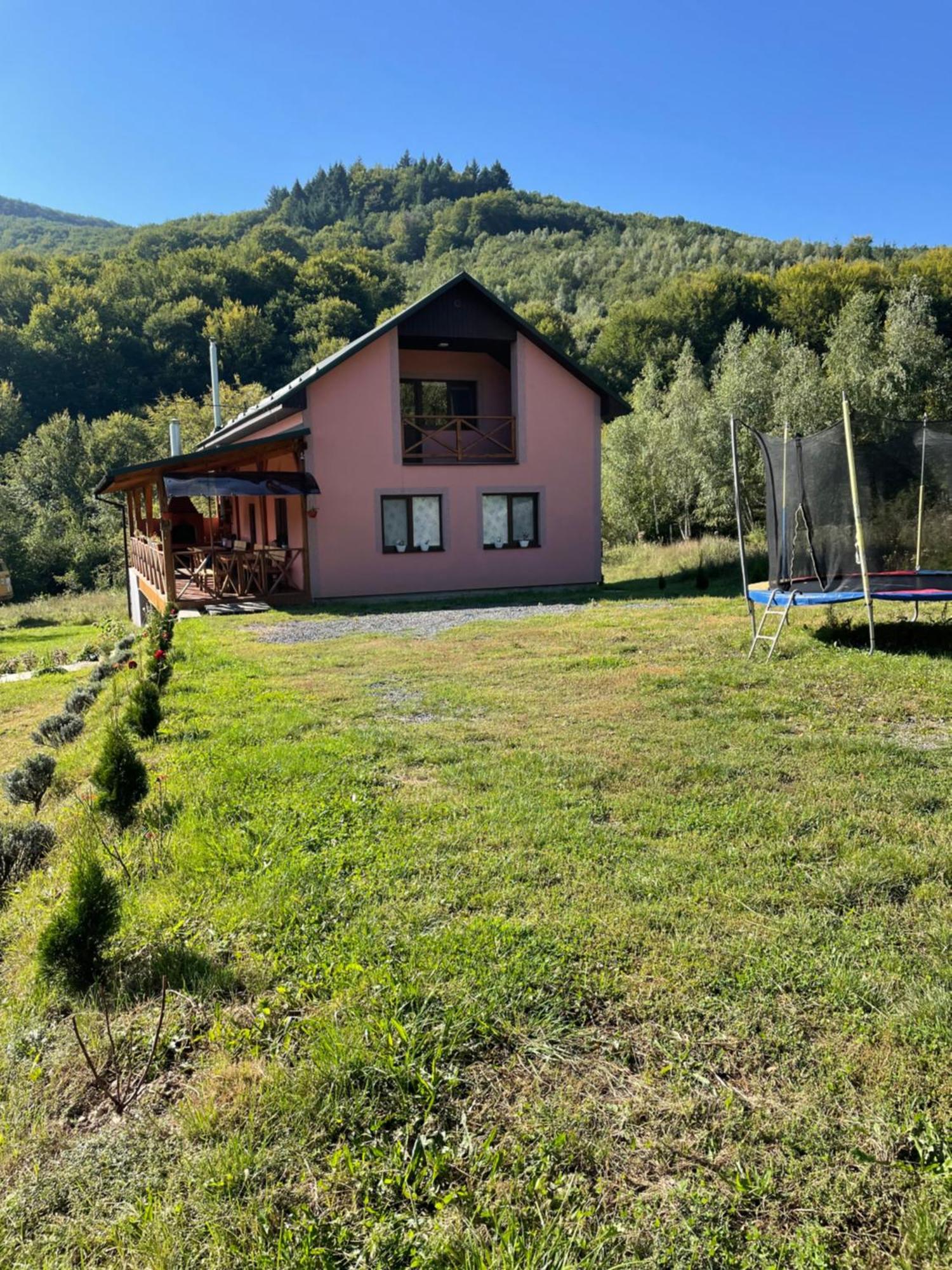 Соколів Камінь Novoselitsa  Esterno foto