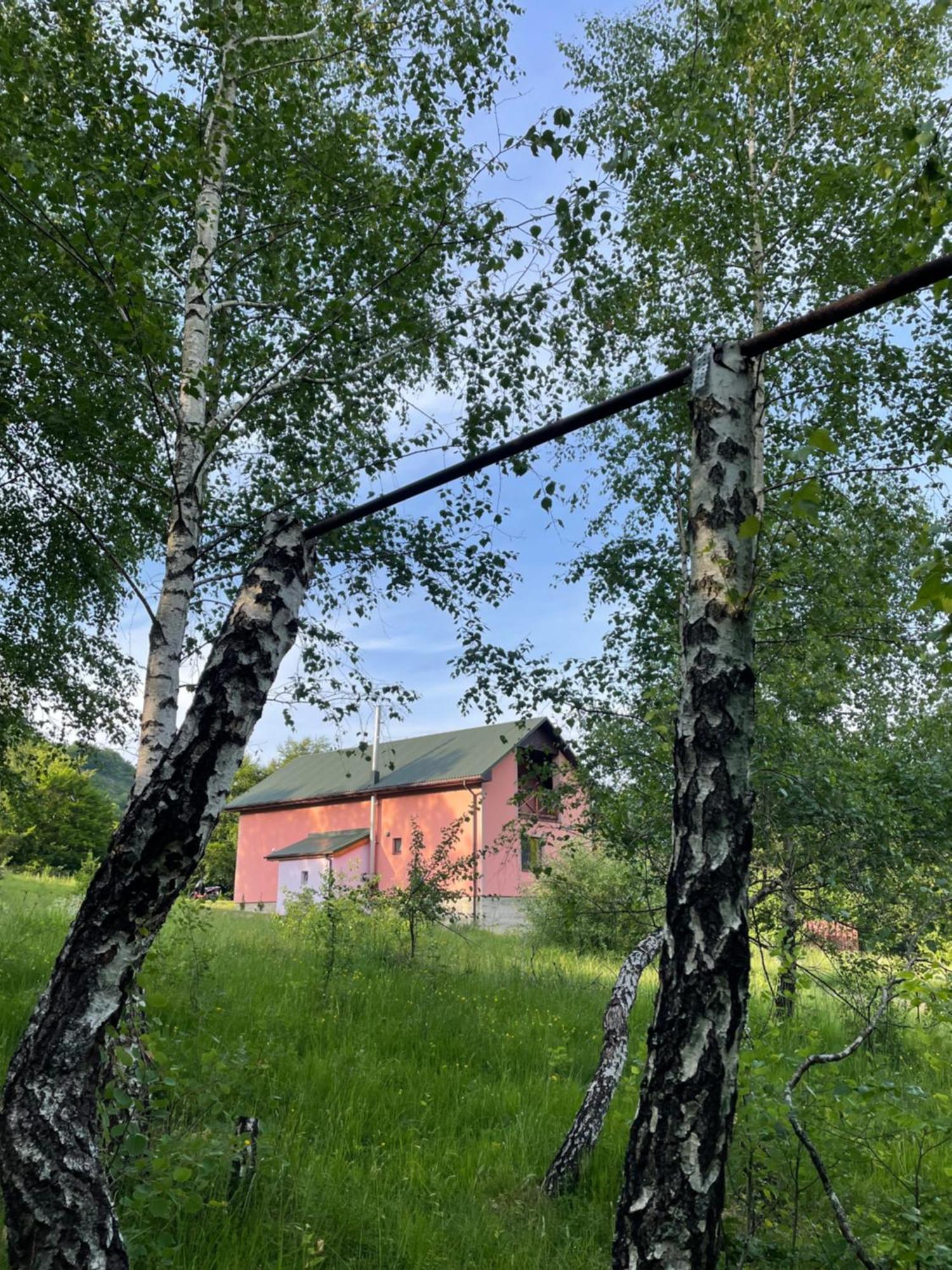 Соколів Камінь Novoselitsa  Esterno foto